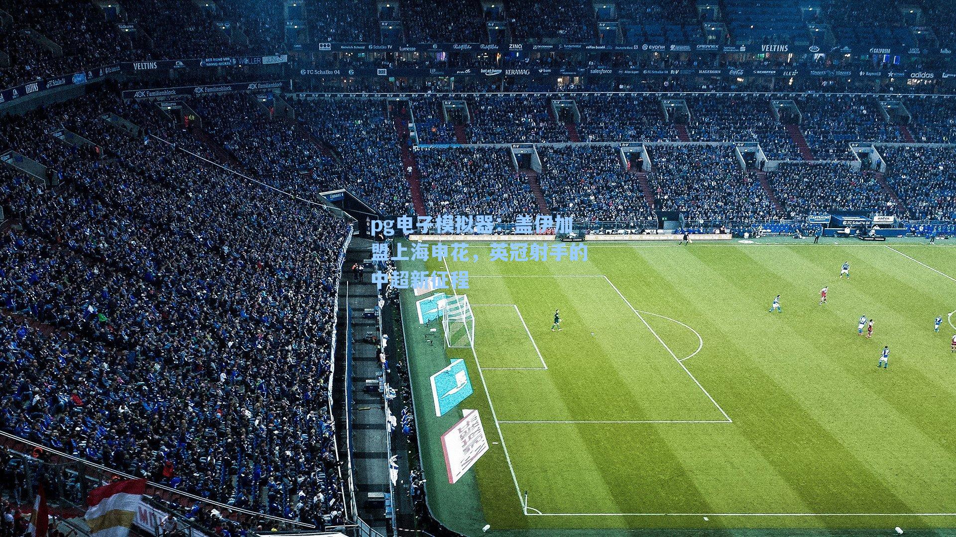 盖伊加盟上海申花,英冠射手的中超新征程